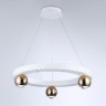 Подвесной светильник Ambrella Light FL5959