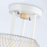 Накладной светильник Ambrella Light TR80163