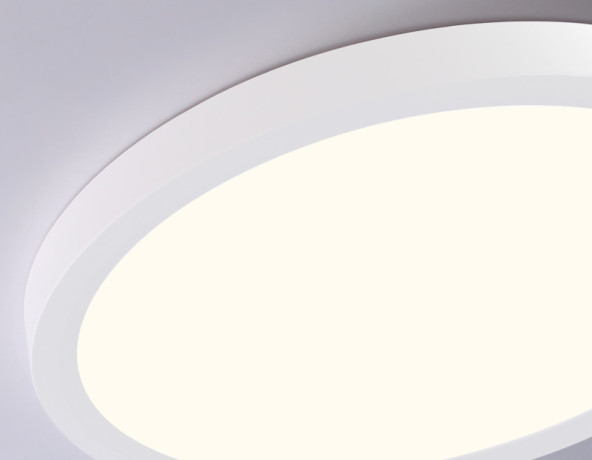 Накладной светильник Ambrella Light FZ1903