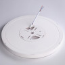 Накладной светильник Ambrella Light FZ1903
