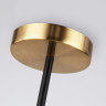 Люстра на штанге Ambrella Light TR2507