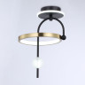 Накладной светильник Ambrella Light FL66424