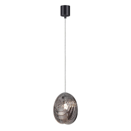 Подвесной светильник Odeon Light 5038/1