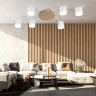 Накладной светильник Ambrella Light FL51755