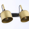 Спот Ambrella Light TR97106