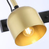 Спот Ambrella Light TR97106