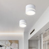 Накладной светильник Ambrella Light TN5245