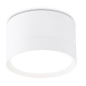 Накладной светильник Ambrella Light TN52351