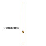 Бра Odeon Light 4335/18WGP