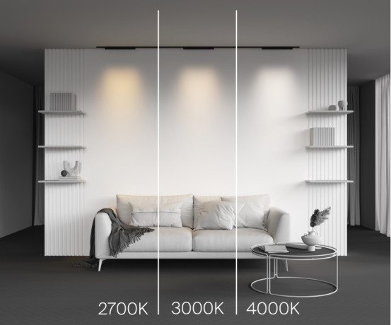 Светильник на шине Maytoni Technical TR193-1-20W3K-M-B