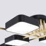 Накладная люстра Ambrella Light FL516348