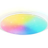 Накладной светильник Ambrella Light FZ780