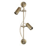 Спот Odeon Light 7013/2W