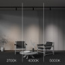 Светильник на шине Maytoni Technical TR197-3-12WCCT-M-B