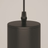 Подвесной светильник Maytoni P075PL-01B