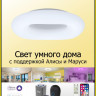 Накладной светильник Citilux CL732A520G