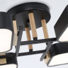 Накладная люстра Ambrella Light FL4887