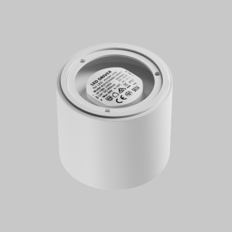 Влагозащищенный светильник Maytoni Technical C217CL-15W3K-W