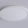 Накладной светильник Ambrella Light FZ1959