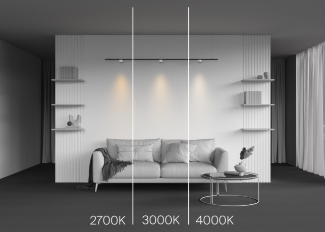 Светильник на шине Maytoni Technical TR188-1-5W2.7K-M-BW