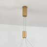 Подвесной светильник Ambrella Light FL5885