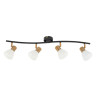 Спот ARTE Lamp A3117PL-4BK