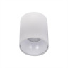 Накладной светильник Citilux CL7440100