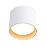 Накладной светильник Ambrella Light TN5304