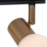 Спот ARTE Lamp A3117PL-2BK