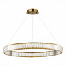 Подвесная люстра ST-Luce SL1622.383.01