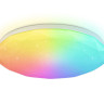 Накладной светильник Ambrella Light FZ417