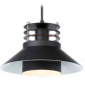 Подвесной светильник Ambrella Light TR8172