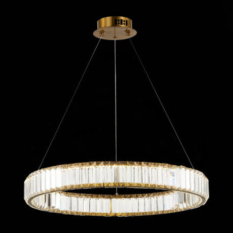 Подвесная люстра ST-Luce SL1622.363.01