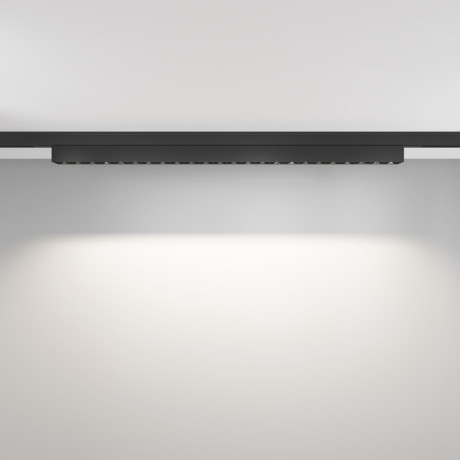 Светильник на шине Maytoni Technical TR193-1-20W4K-M-B
