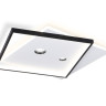Накладной светильник Ambrella Light FL5065