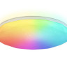 Накладной светильник Ambrella Light FZ418