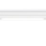 Светильник на шине Ambrella Light GL1655