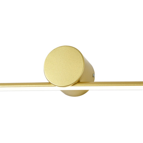 Светильник для картин Escada 10291/1LED Gold