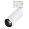 Светильник на шине ST-Luce ST691.536.20
