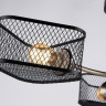 Люстра на штанге Ambrella Light TR80171