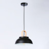 Подвесной светильник Ambrella Light TR8192