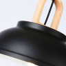Подвесной светильник Ambrella Light TR8192