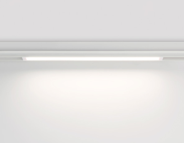 Светильник на шине Ambrella Light GL1665