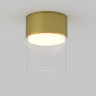 Влагозащищенный светильник Maytoni Technical C094CL-GX53-BS