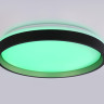 Накладной светильник Ambrella Light FZ610
