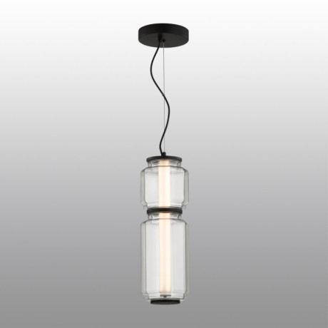 Подвесной светильник Odeon Light 5409/20L