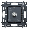 Розетка Ambrella Volt VM215