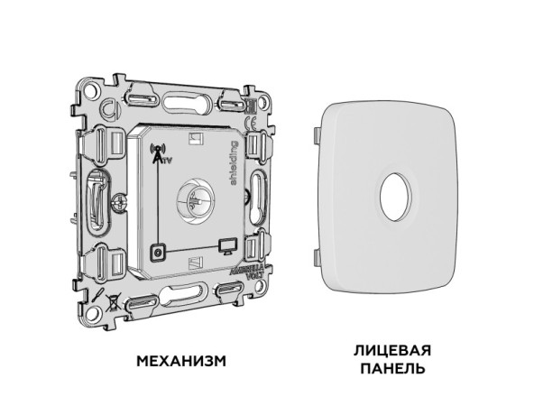 Розетка Ambrella Volt MO913005