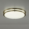 Накладной светильник Citilux CL709503N