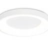 Накладной светильник Ambrella Light FZ1401